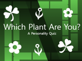What Plant Are You? | Quiz