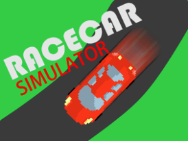 -Race car Simulator-
