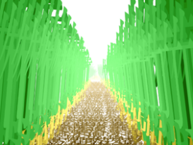 竹林 - bamboo forest