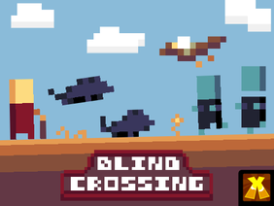 Blind Crossing || Game Entry